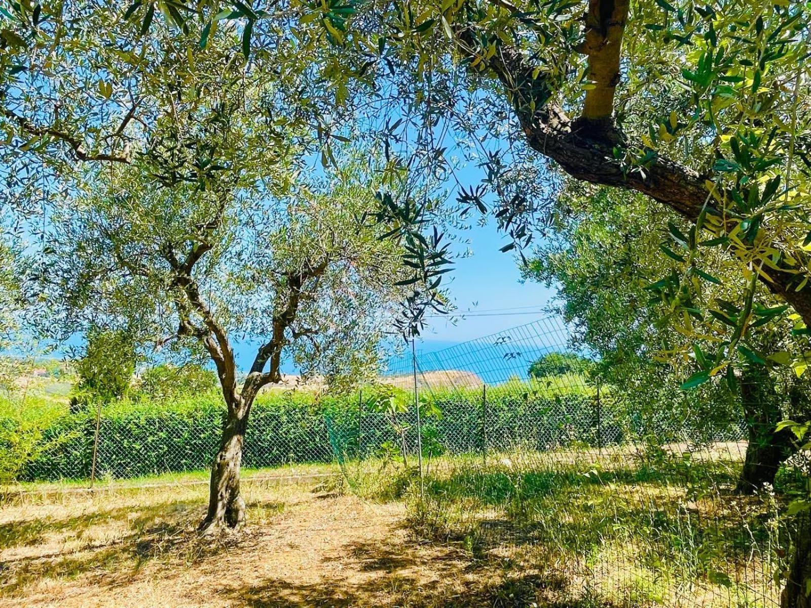 Villa In Collina Vista Mare Roseto Degli Abruzzi Luaran gambar